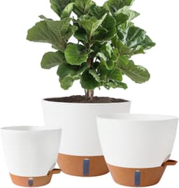 8/10/12 Inch Self Watering Pots for Indoor/Outdoor Plants – Large Plastic Planter